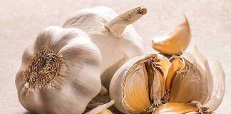 Aglio addio germogli