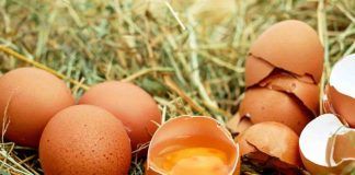 Quante uova si possono mangiare in una settimana