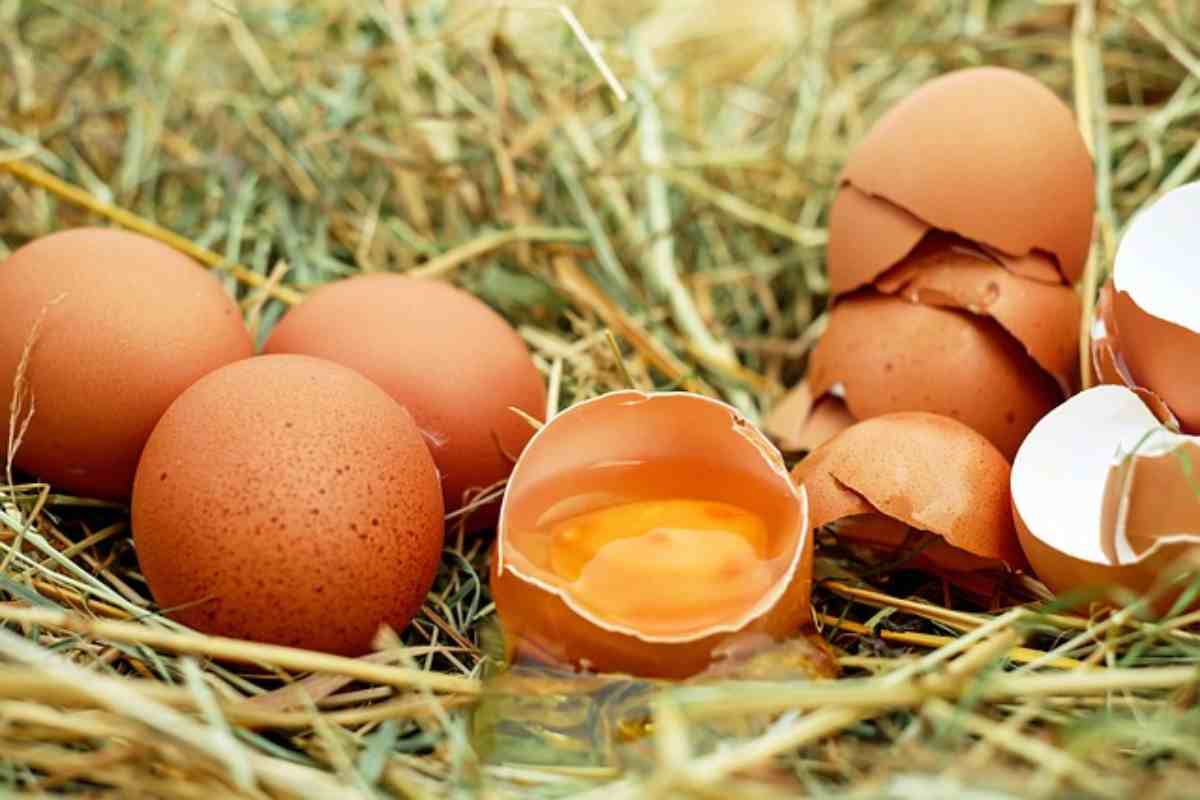 Quante uova si possono mangiare in una settimana