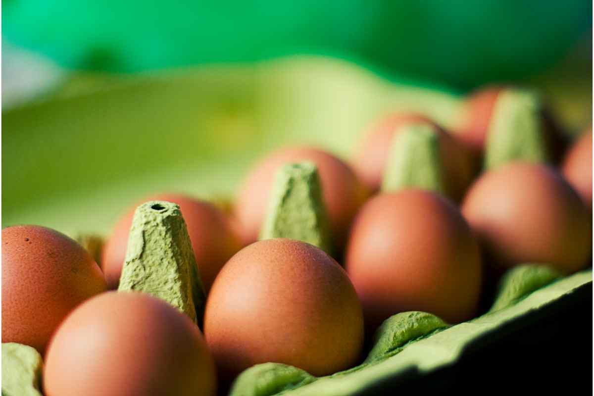 Uova colesterolo salute