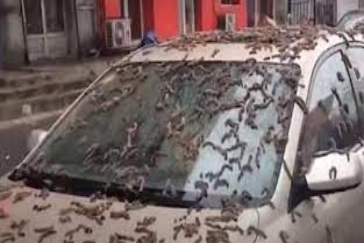 Incredibile pioggia in Cina