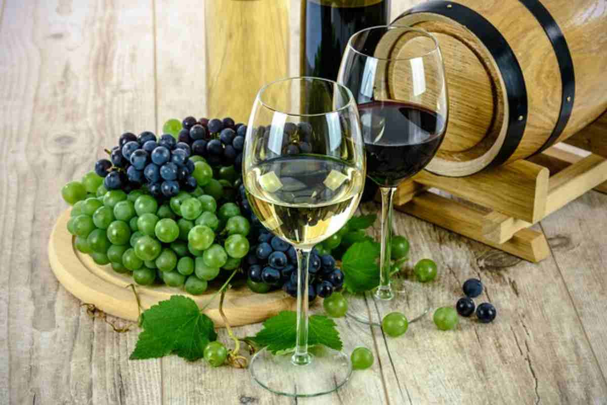Vino quanto impiega l'organismp a smaltire