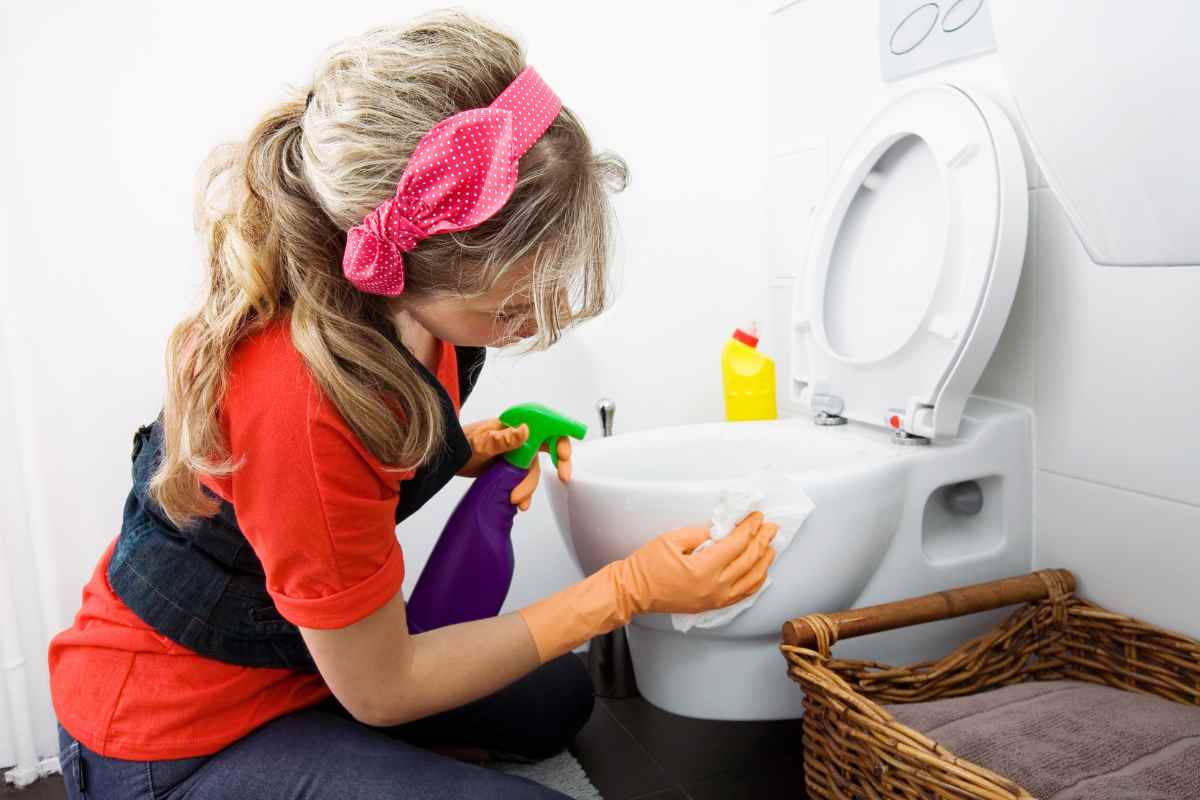 Wc pulito