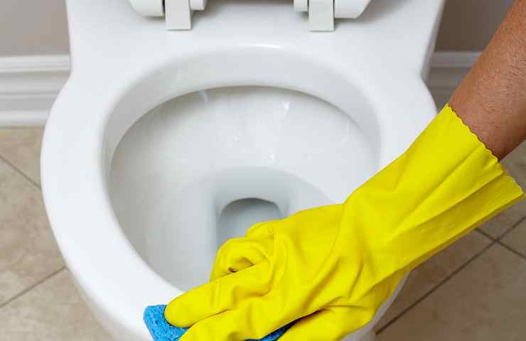 Wc pulito