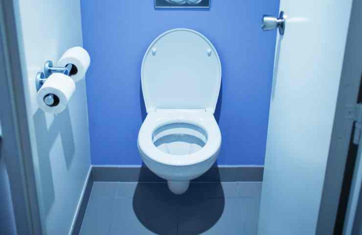Wc pulito