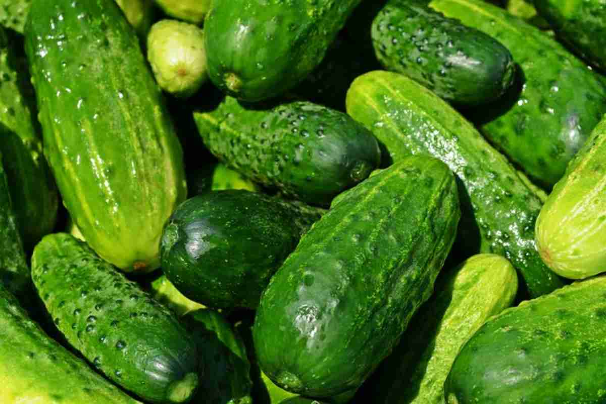 Cetrioli, mai togliere la buccia: svelato il motivo