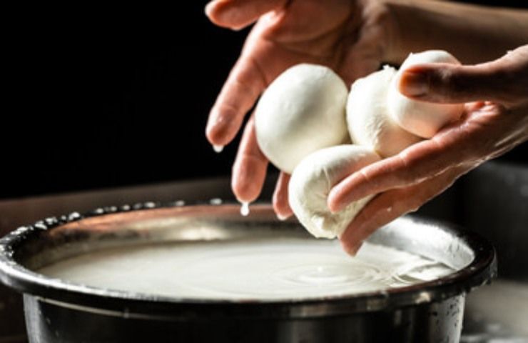 L'importanza dell'acqua della mozzarella