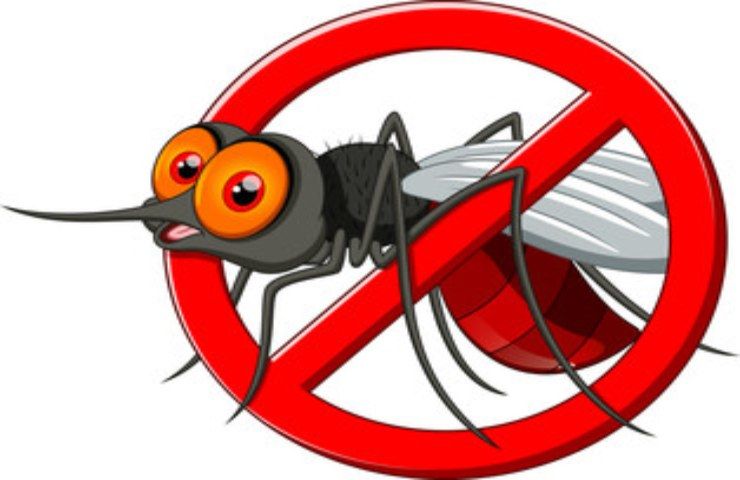 Come evitare le zanzare?