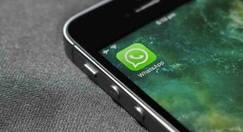 Whatsapp, arriva la nuovissima funzione: utenti in visibilio, cosa cambia
