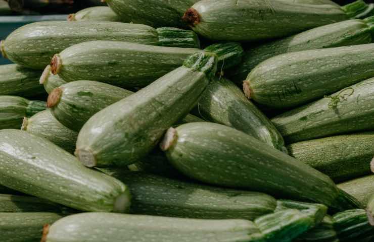 Zucchine orto