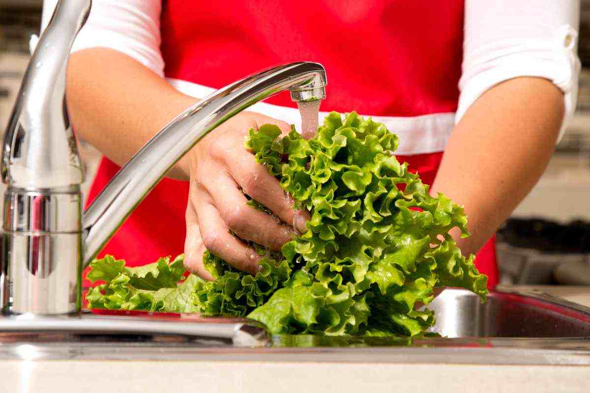 Lavare verdure ortaggi trucco pulizia insetti batteri
