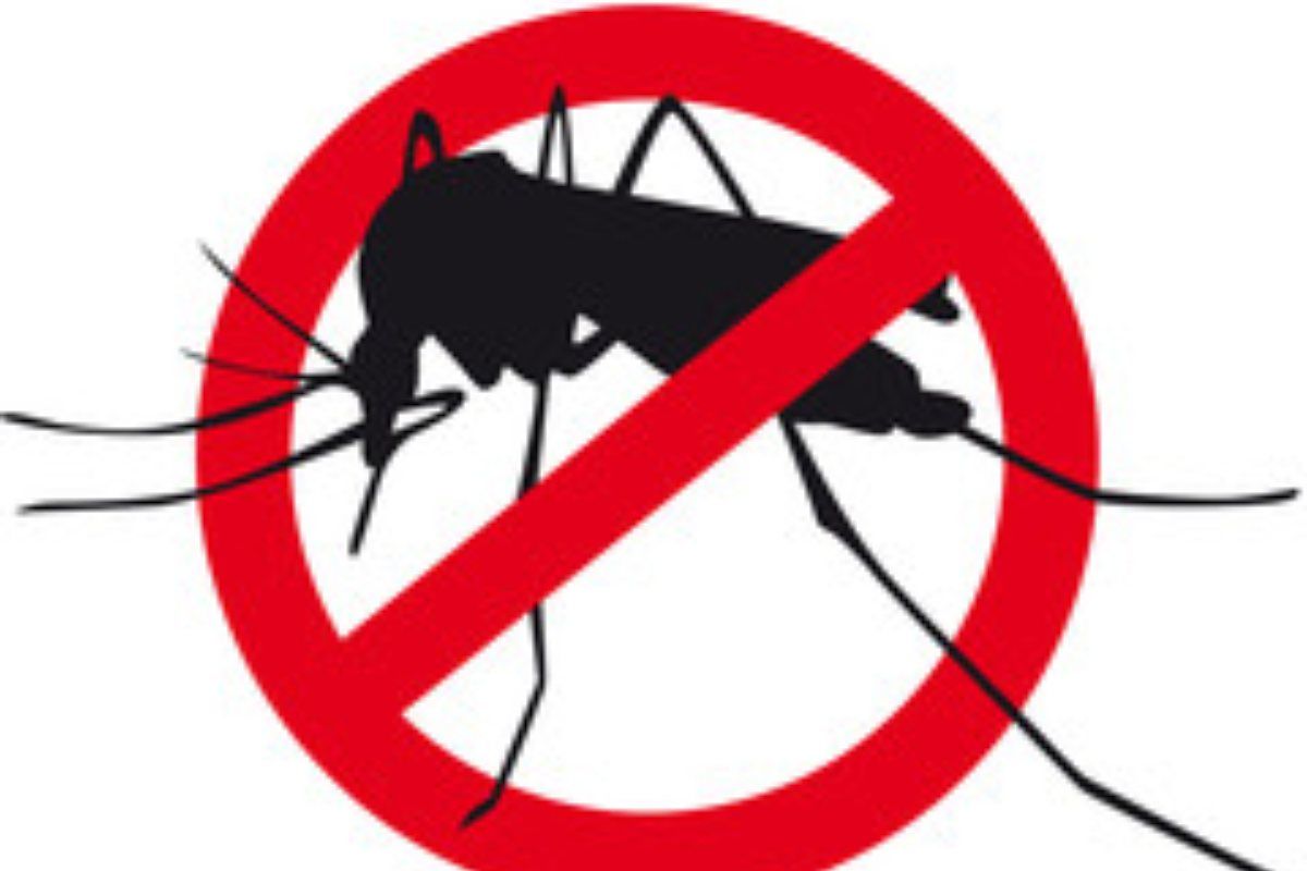 I migliori repellenti anti-zanzare