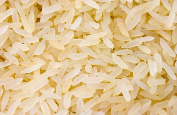Riso ricette insalata di riso