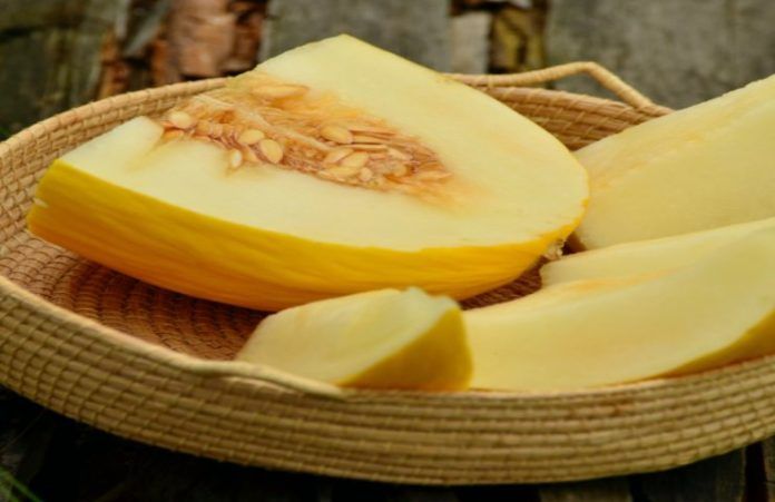 Melone Tiger, Tigre, Raro Rare, Mini, Semi Seeds - Foto 13