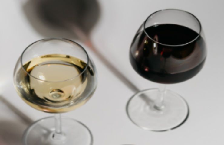 Quale vino fa bene salute bianco o rosso?