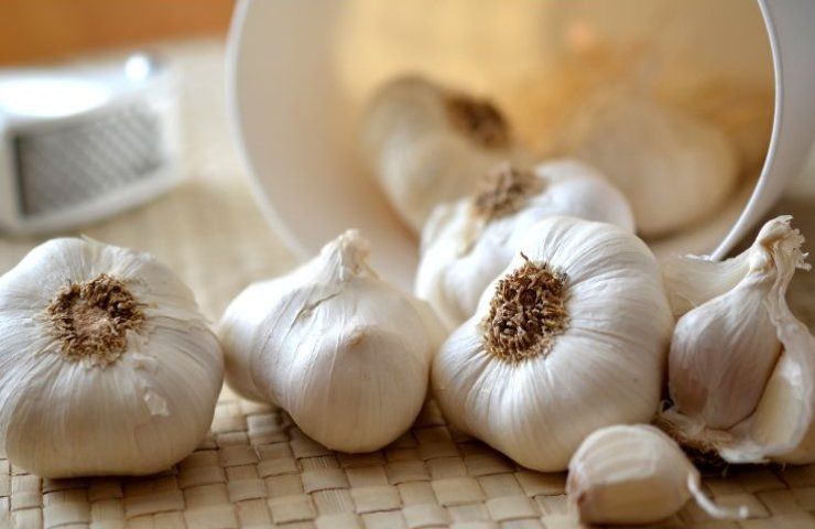 cavallette aglio caffè olio di Neem per tenerle lontane 