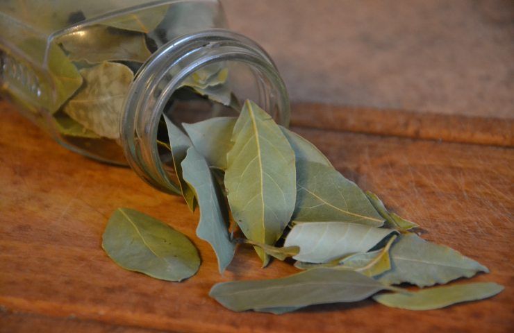 Usare foglie in cucina e casa