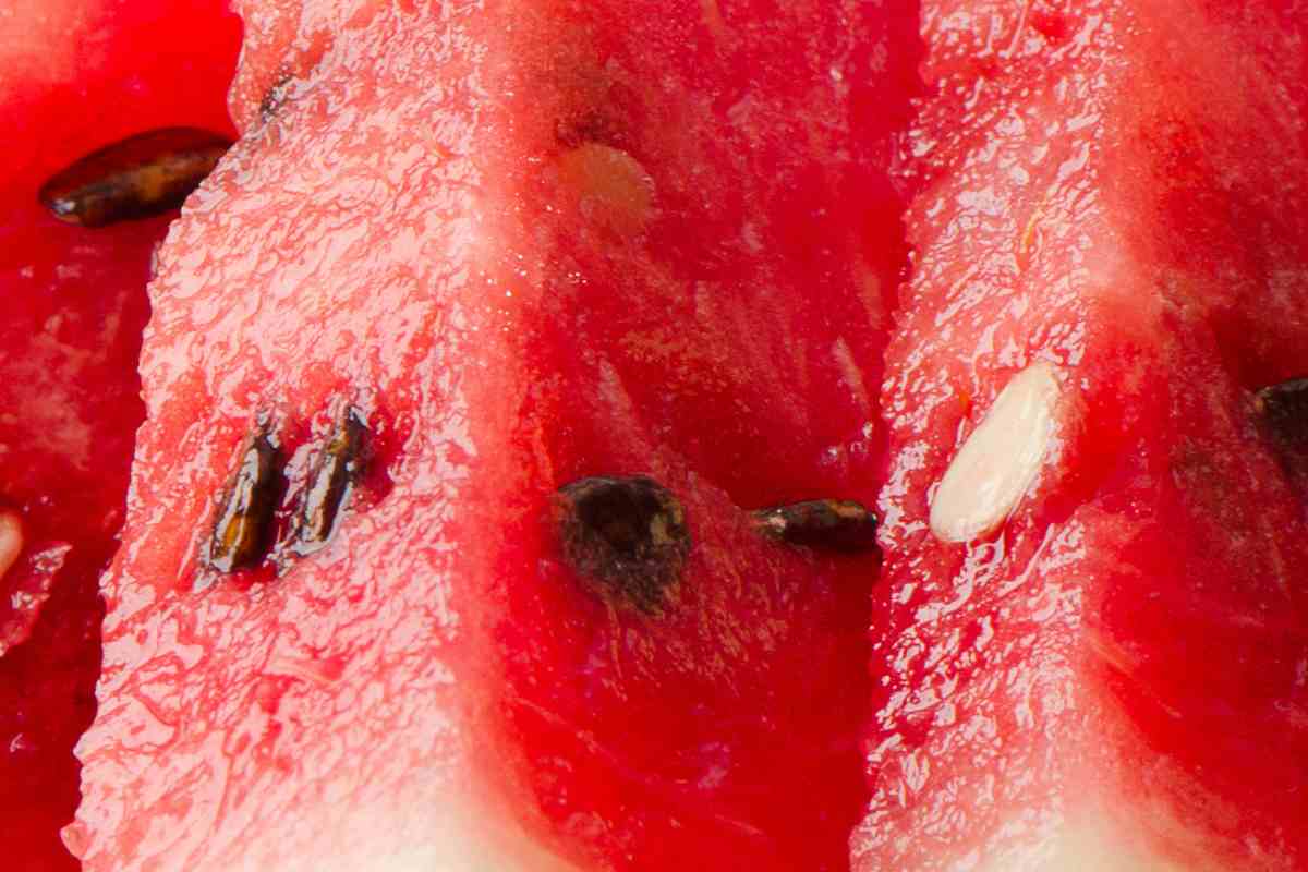 Mangi semini anguria cosa succede devi saperlo