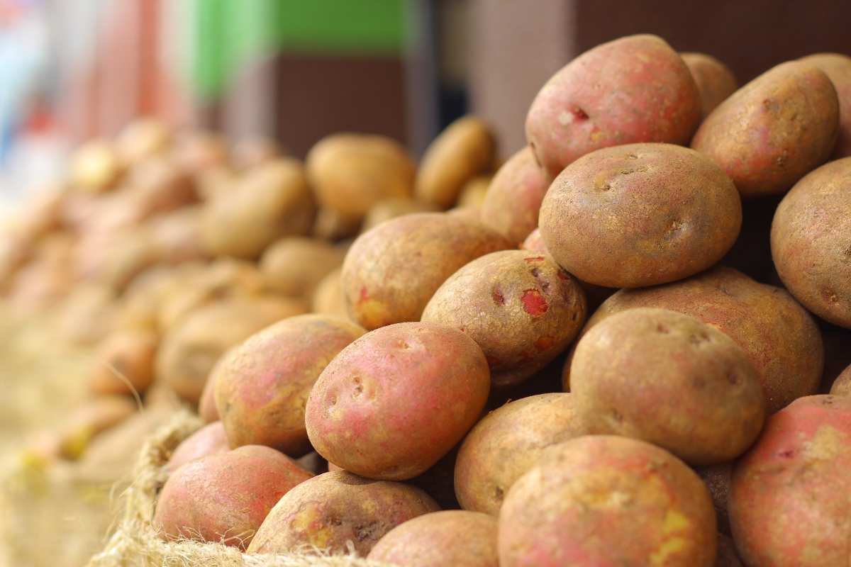 Conservare al meglio le patate