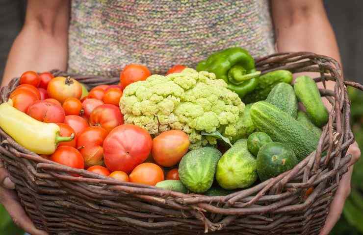 ortaggi verdura cotti crudi nutrienti