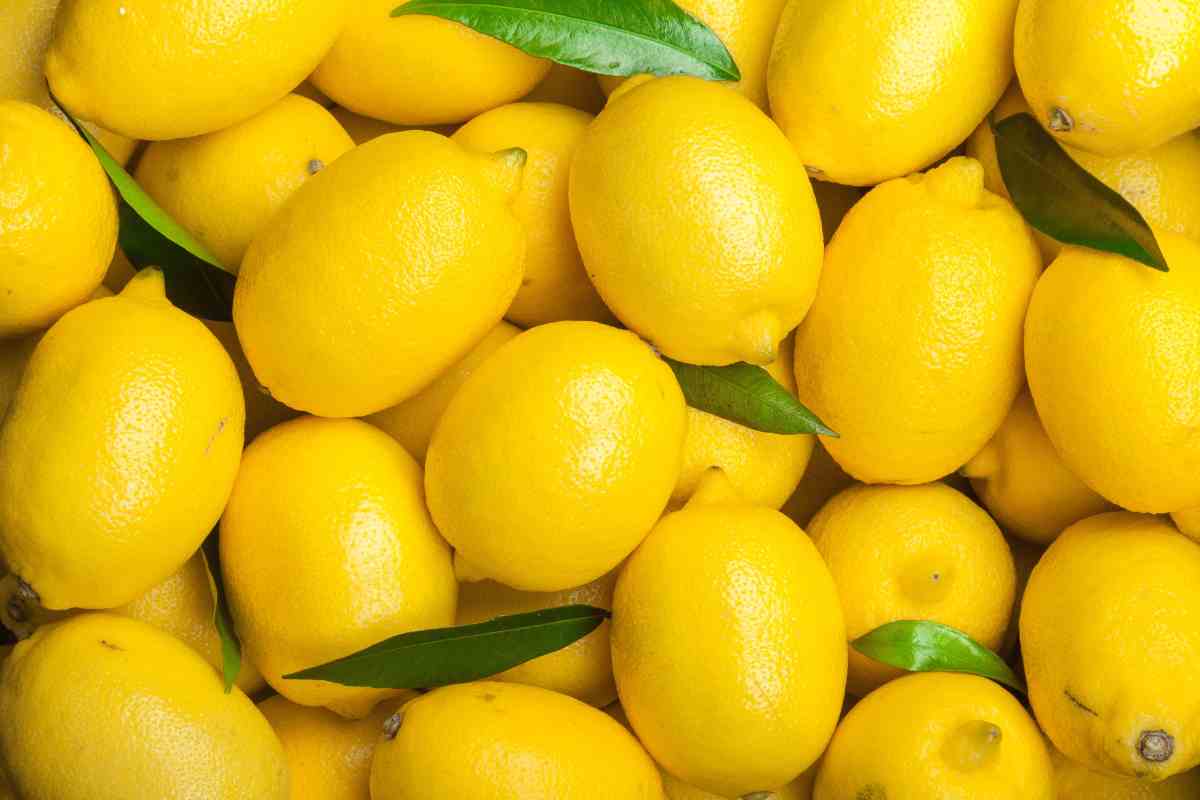 Bucce limoni foto Adobe