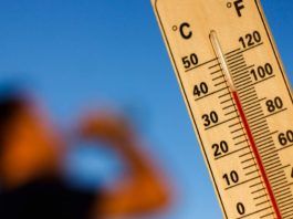 cosa bere quando fa troppo caldo