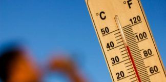cosa bere quando fa troppo caldo