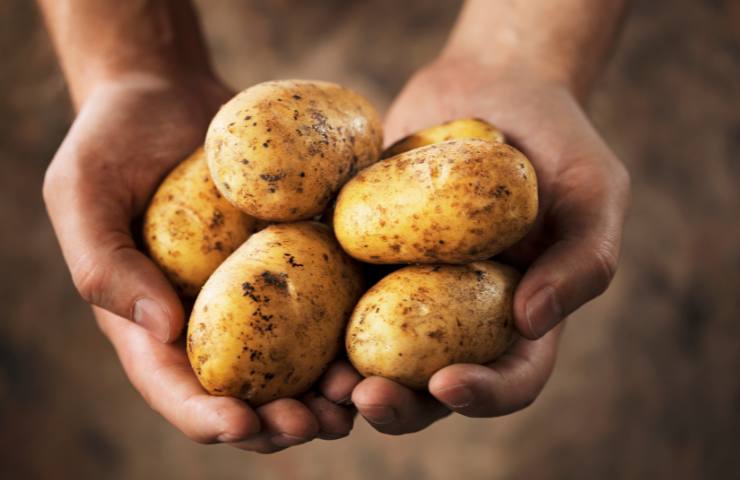 patate come fertilizzante