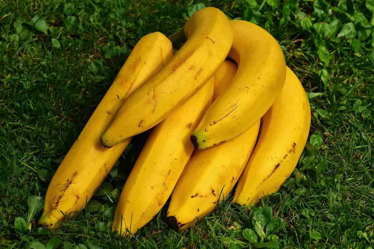 Mangi banana al giorno