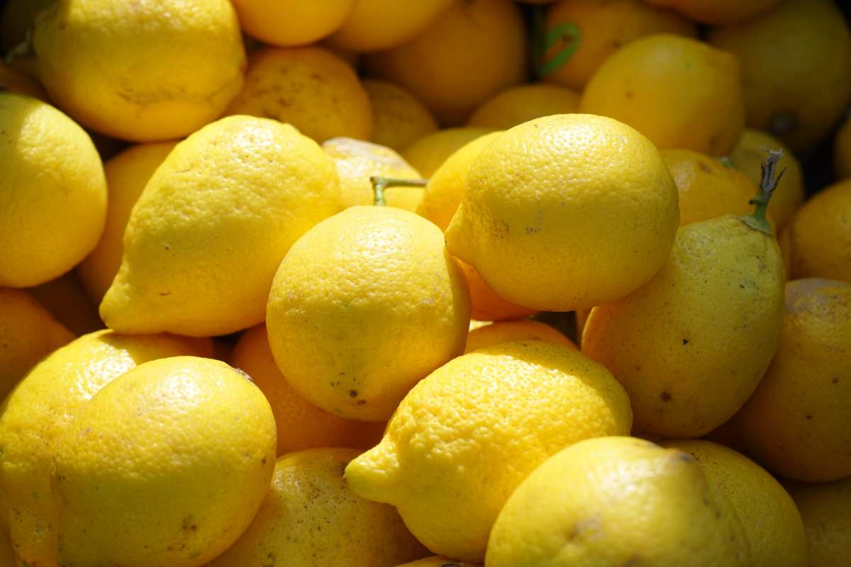 Pesto coi limoni gustoso