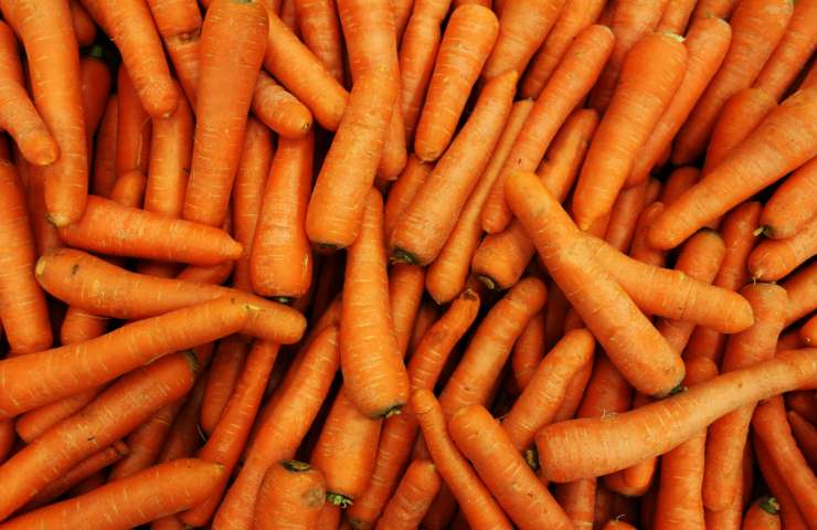 Pulire le carote e togliere l'acqua