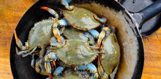 si può mangiare granchio blu