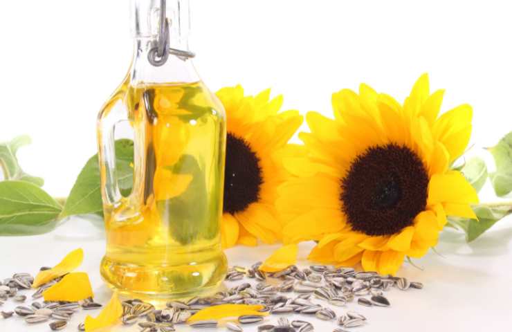 olio di semi di girasole per i dolci