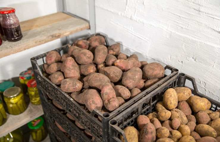 Conservare le patate in dispensa