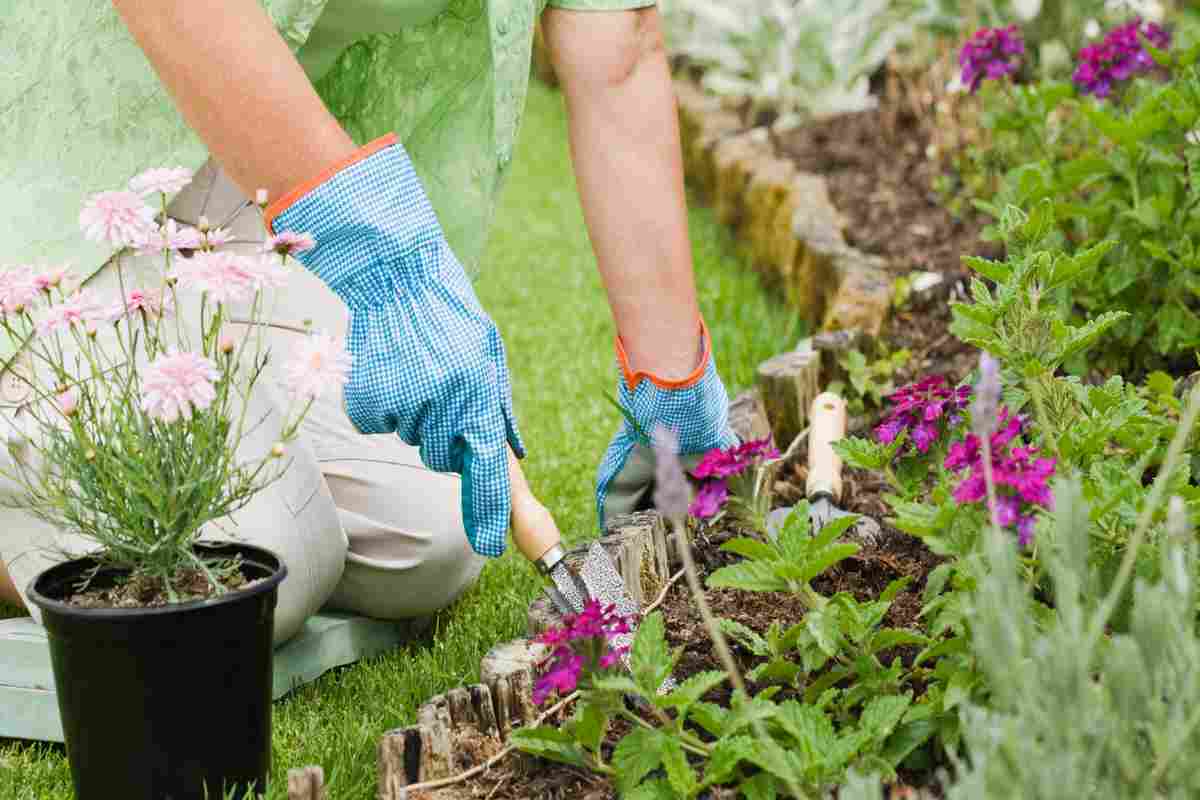 uomo fa giardinaggio